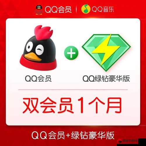 QQ 会员 SVIP3 一年要花多少钱，探索超值会员权益与价格之谜